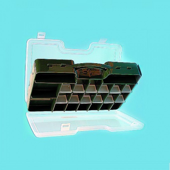 Коробка рыболовная двухсторонняя SALMO Double Sided 290х200х60 1500-81